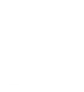 Varu Logo